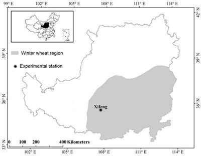 Forage yield, competition, and economic indices of oat and common vetch intercrops in a semi-arid region